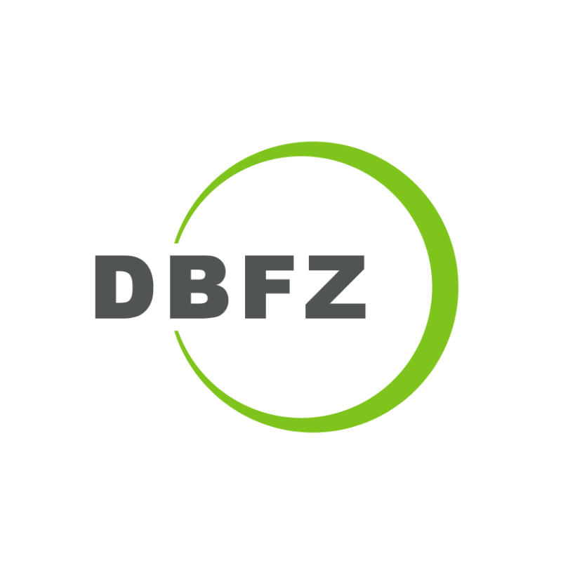 DBFZ Logo